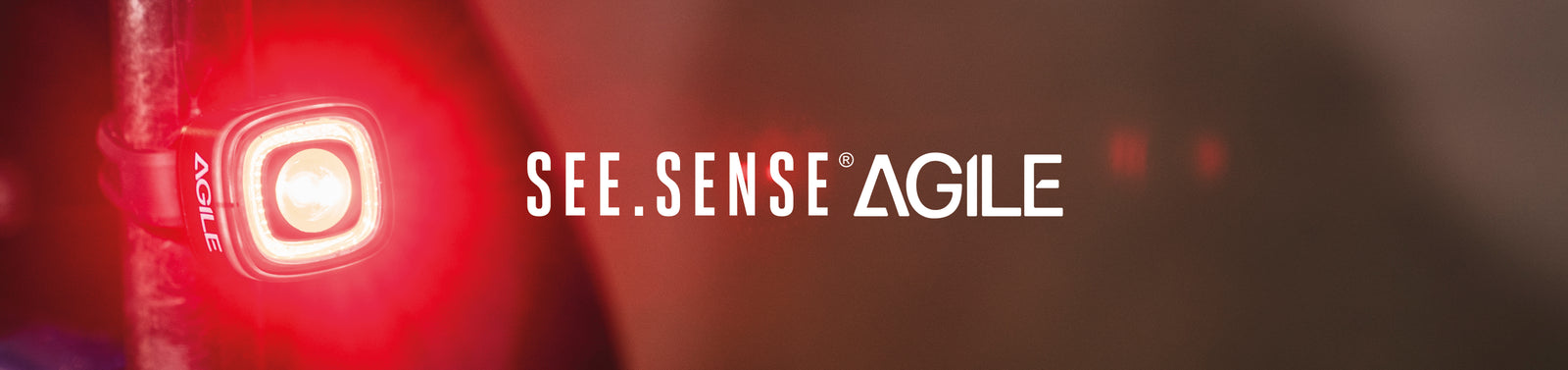 See.Sense AGILE Banner