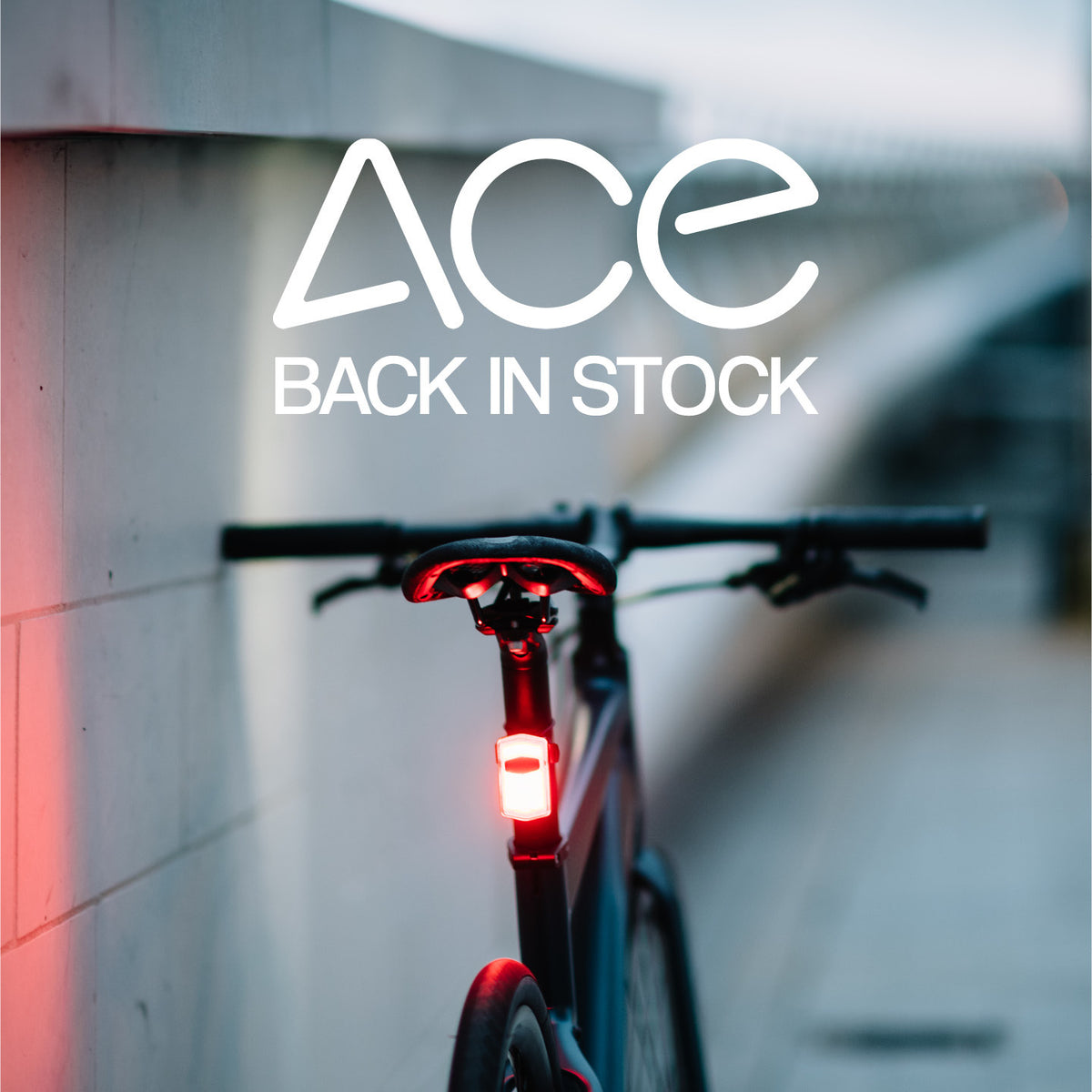 See.Sense ACE Front and Rear Set (AGILE FW)