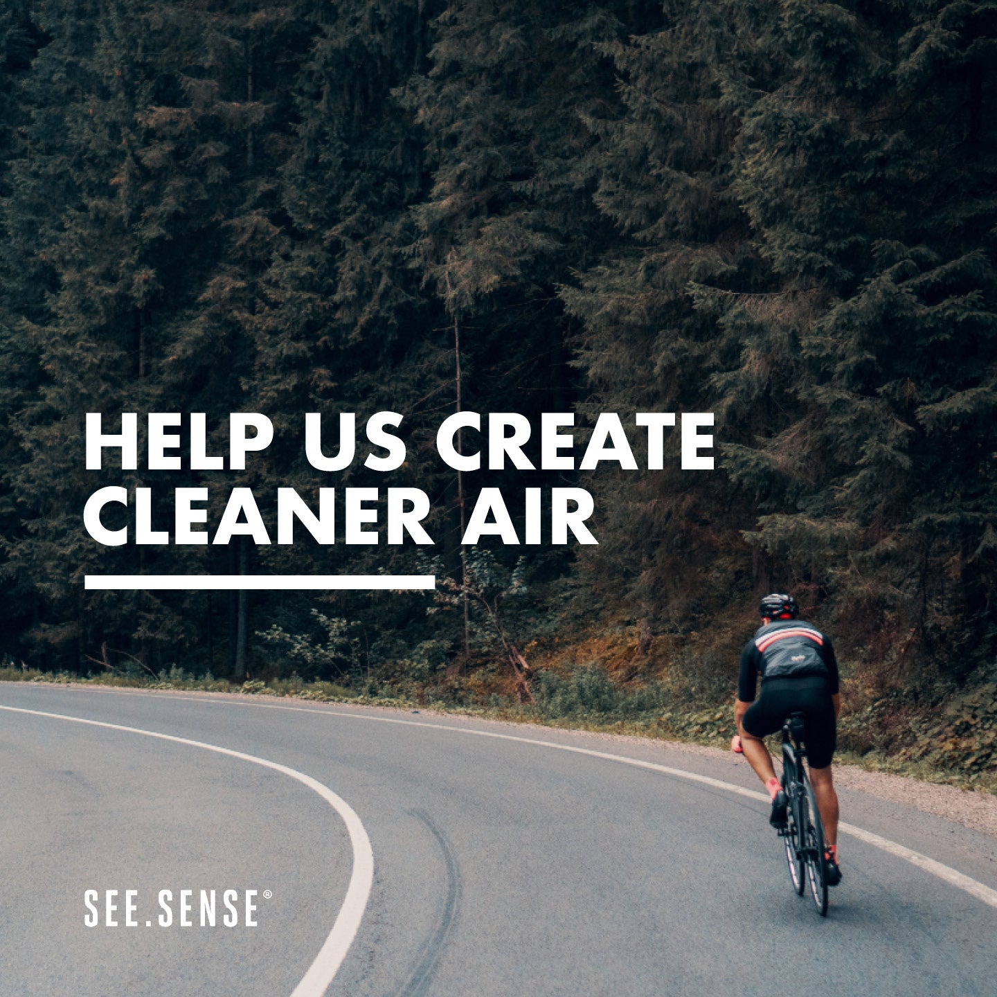 Tree Sense - Plant 3, 5 or 10 Trees-Extras-See.Sense